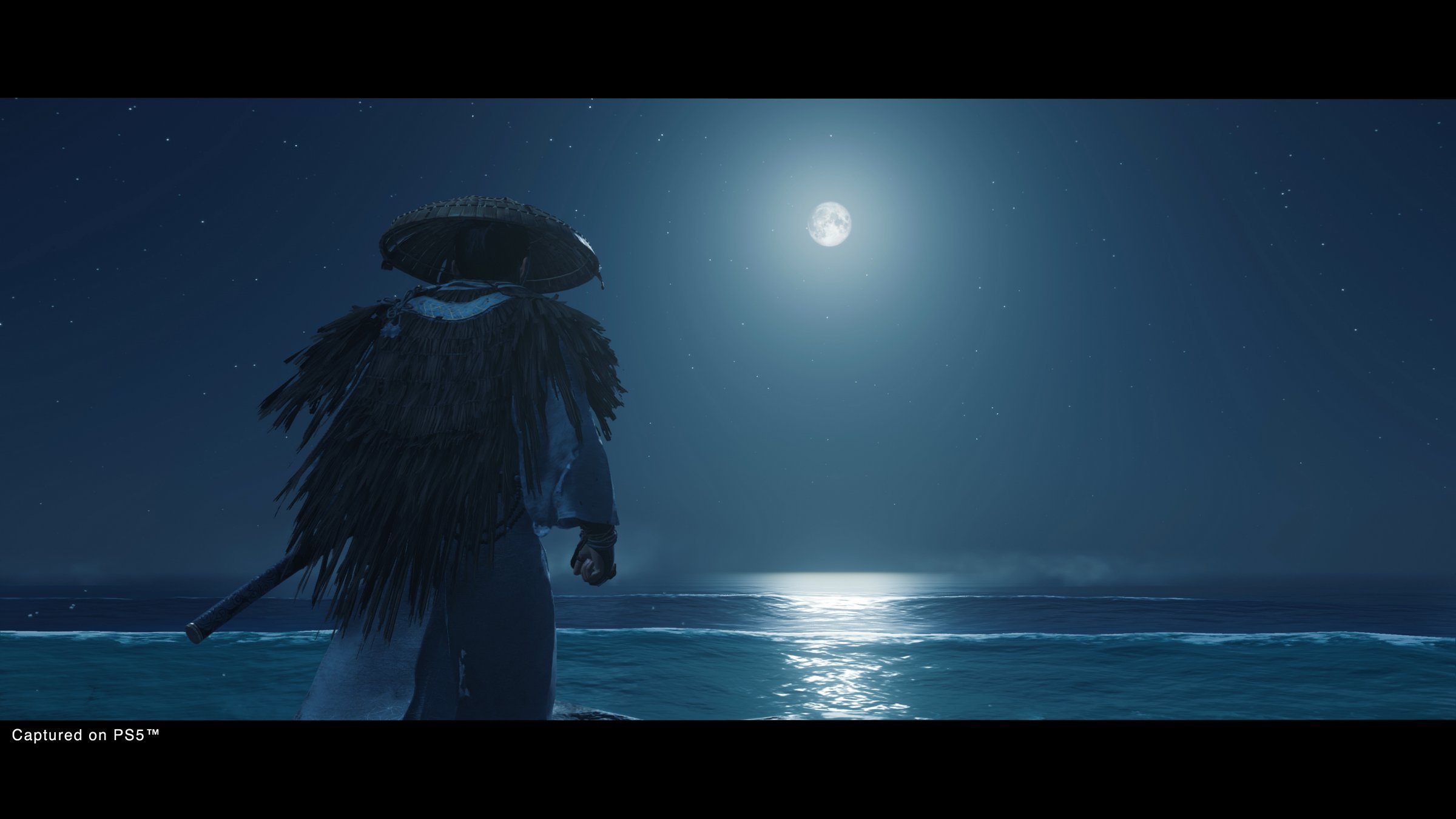 Ghost of Tsushima: Director´s Cut - Imagen 31